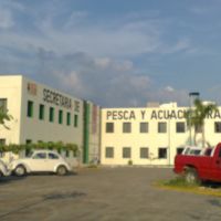 Secretaria de Pesca y Acuacultura, Тонала