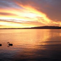 Sunrise, Lake Rotorua., Роторуа