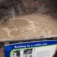 Historic Coffee Pot hot spring, Роторуа