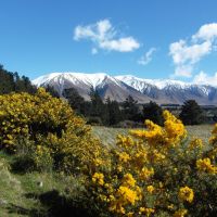 New Zealand - Near Rakai Gorge, Ашбуртон