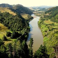 NEW ZEALAND, WHANGANUI - Whanganui river, Вангануи
