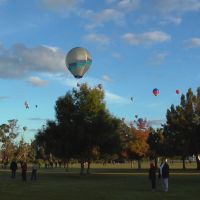 Baloon fiesta at Hamilton Lake, Гамильтон