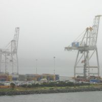 Misty day at the port, Веллингтон