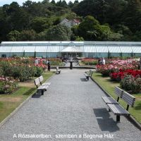 Lady Norwood Rose Garden, Веллингтон