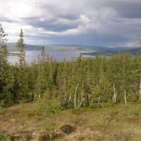Merkesplutten unprotected old-growth forest 3, Боде