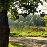 Pierwszy dzień jesieni nad Zalewem Klików, Дзирзонев