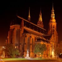 Katedra nocą, Легница