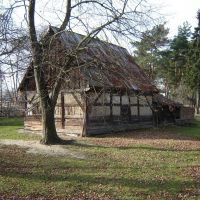 Ostatnii drewniany budynek w okolicy, Полковице