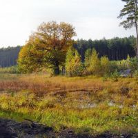 Bagna jesienią, Полковице