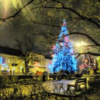 Boże Narodzenie 2011 / Christmas 2011, Влоцлавек