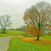 Autumn, Накло-над-Нотеча