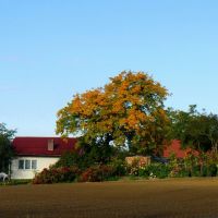 Wielka Nieszawka - Autumns Colors, Свечье