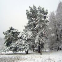 Okolice Mostek zimą, Заган