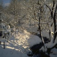 Poland, winter dream in Zakopane, Закопане