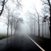 The foggy morning in Cracow, Краков (ш. ул. Вроклавска)