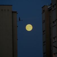 księżyc, Новы-Тарг
