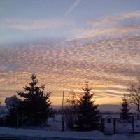 Zimowe Poranne Chmury / Winter Morning Clouds, Скавина