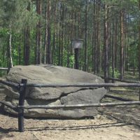 Rezerwat Grabicz - głaz narzutowy. Pomnik przyrody - Głaz Edmunda., Воломин