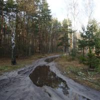Skrzyżowanie leśnych dróg - północ/north, Вышков