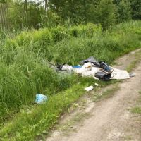 Śmieci w Markach, Вышков