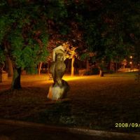 Sowa w parku w nocy, Козенице
