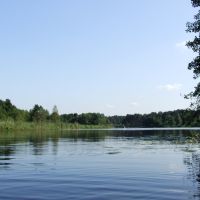 Jezioro Kozienickie (Starorzecze Wisły), Козенице