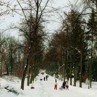 Zima w parku Branickich, bulwary Kosciakowskiego, Белосток