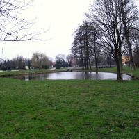 Bielsk Podlaski - staw w parku (pond), Бельск Подласки