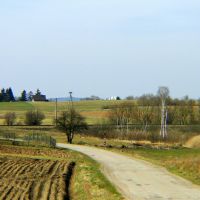 Wiosenne pola i łąki., Граево