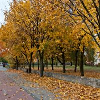 Autumn in Wejherowo, Вейхерово