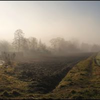 GLIWICE. Mglisty poranek/Foggy morning, Гливице