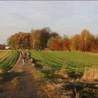 Gliwice. Pola za Sikornikiem/The fields behind Sikornik estate, Гливице