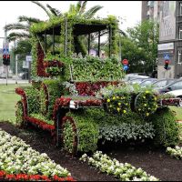 GLIWICE. Nasze piękne kwiatowe auto/Our beautiful floral car, Гливице