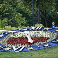 GLIWICE. To nasz kwiatowy zegar na Skwerze Doncaster/This is our floral clock in Doncaster Square, Гливице
