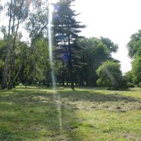 Pyskowice park, Пысковице