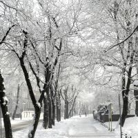 winter walk ...., Пысковице