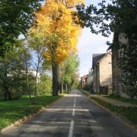 jesienna uliczka, Пысковице