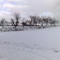 Snowy Scene, Цеховице-Дзедзице