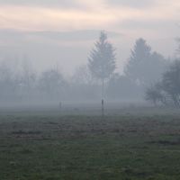 Mountains In The Mist, Цеховице-Дзедзице