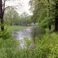 Flood Plain, Цеховице-Дзедзице