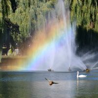 Rainbow fountain., Кельце