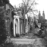 Cmentarz w Gnieźnie, Конские
