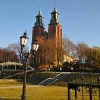 Cathedral of Gniezno, western view, Конские