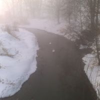 Łabędzie w porannej, zimowej mgle... :), Калиш