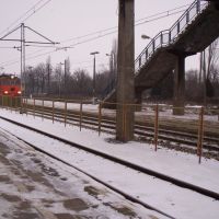 pociąg  (train) PKP, Коло
