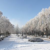 Leszno : Westerplatte - początek zimy, Лешно