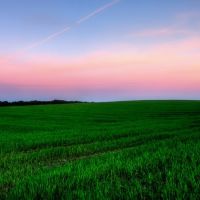 Fields, Любон