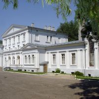 Iwno - Pałac Mielżyńskich, Остров-Велкопольски