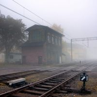 We mgle/In the fog, Пила