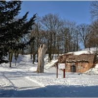 Poznań, Park Cytadela - dla przypomnienia jak wygląda śnieg i słońce zimą.., Познань